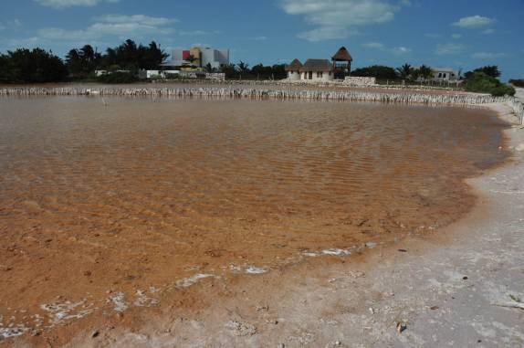 Salinas e região de flamingos no litoral norte do Yucatán, no México